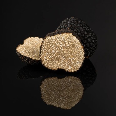 Truffe d’été / Tuber aestivum Cat 1 2