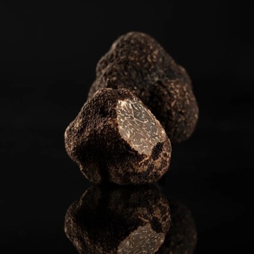 Mélanosporum Cat 2