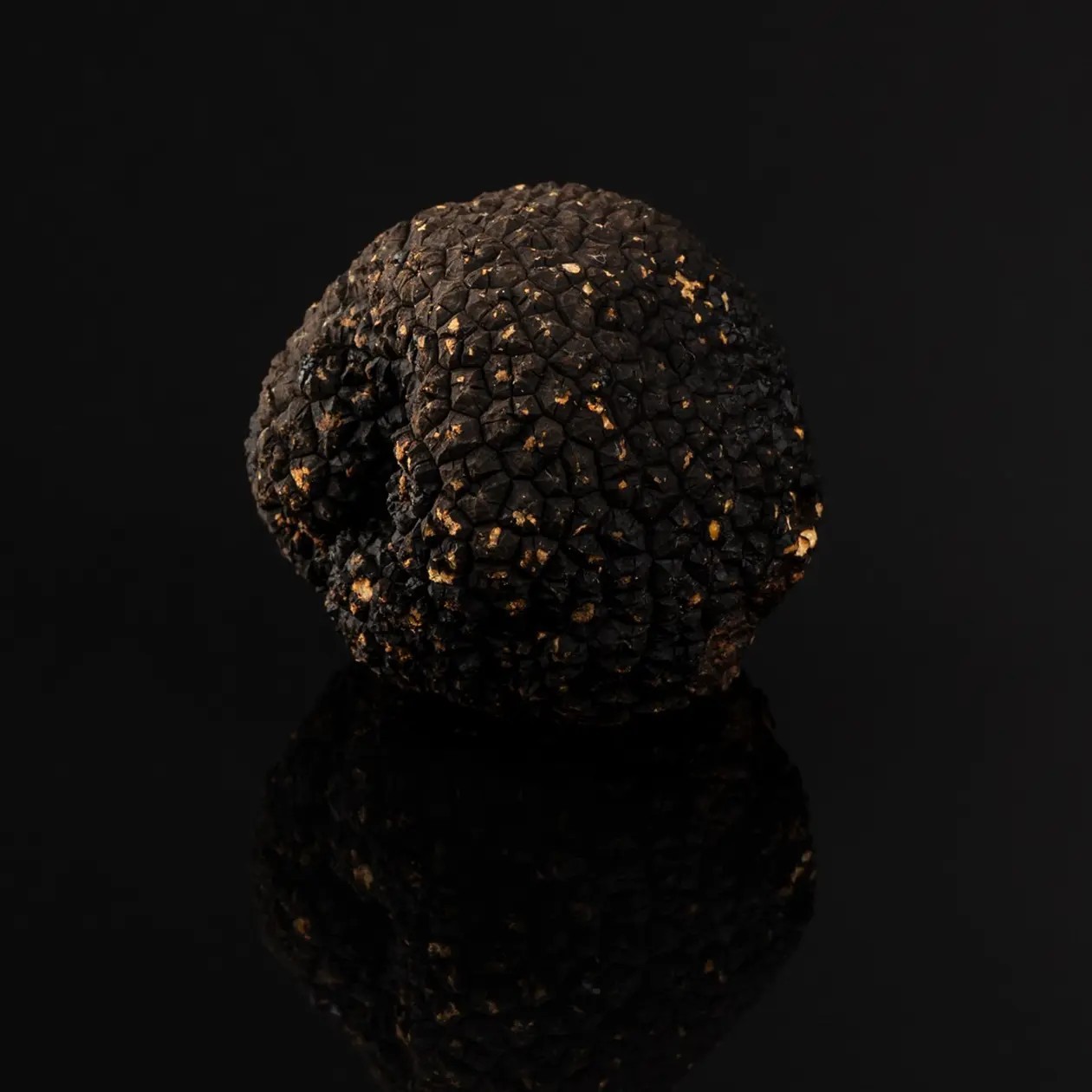 Fresh Summer Truffle Grade 2 | Tuber aestivum France