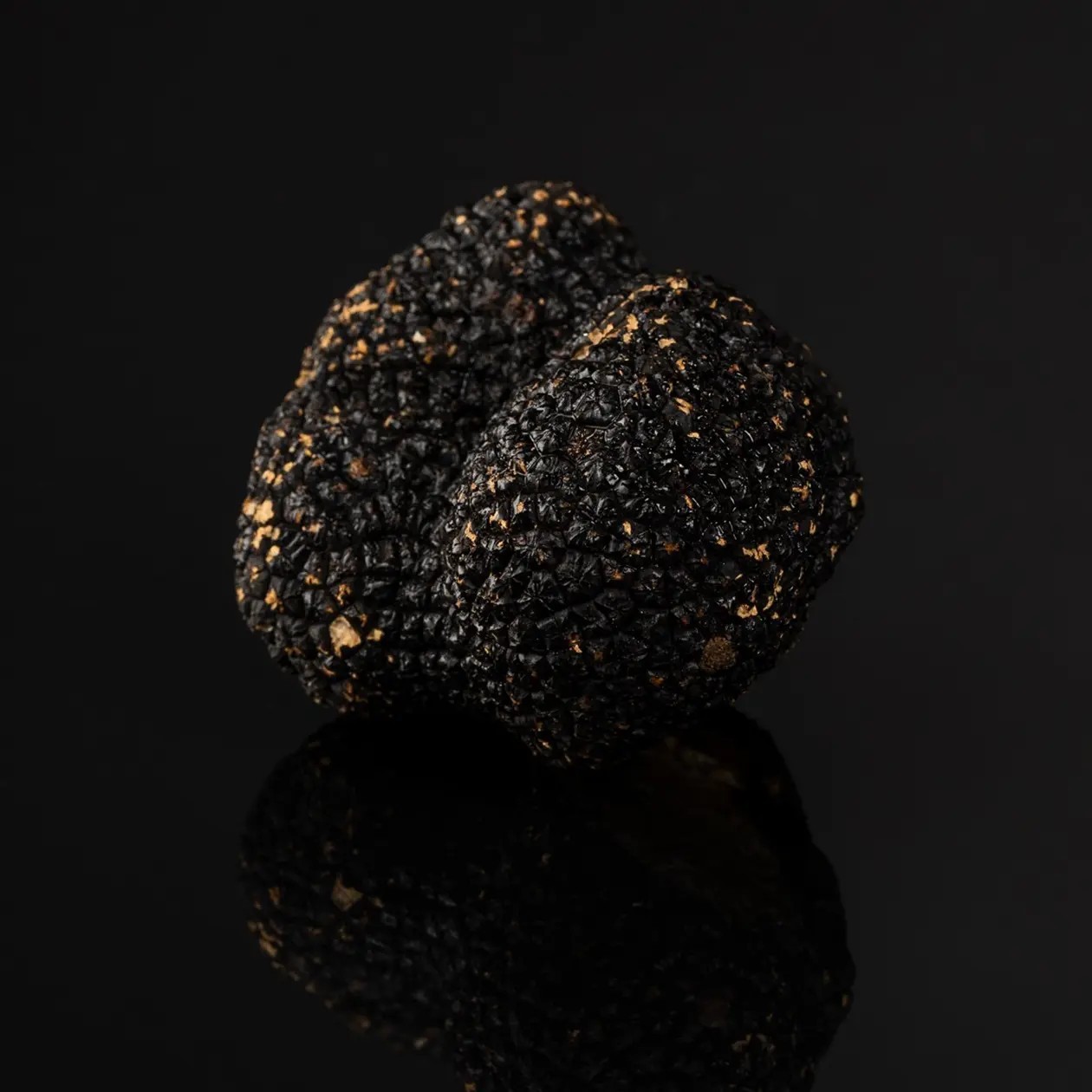 Truffe d’été / Tuber aestivum Cat 2