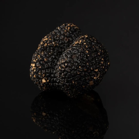 Truffe d’Été Fraîche Catégorie 2 (Tuber aestivum) | France