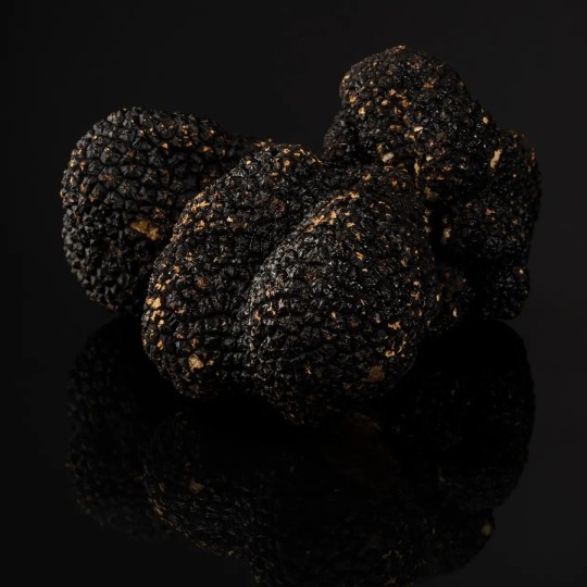 Truffe d’Été Fraîche Catégorie 2 (Tuber aestivum) | France