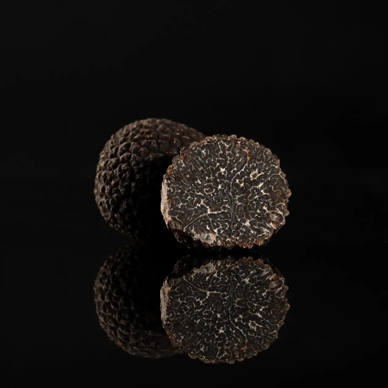 Mélanosporum Cat Extra