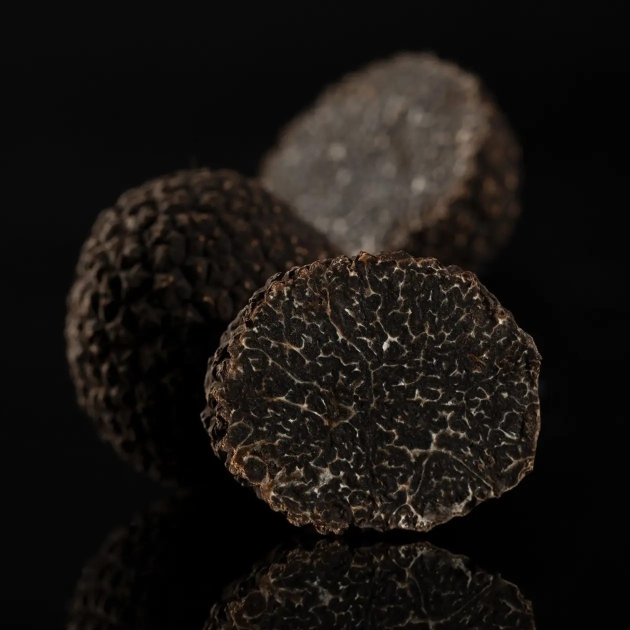 Mélanosporum Cat Extra