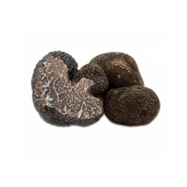 Fresh Black Winter Truffle Grade 2 | Tuber brumale France