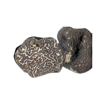 Frozen Black Winter Truffle Pieces | Tuber brumale France 2