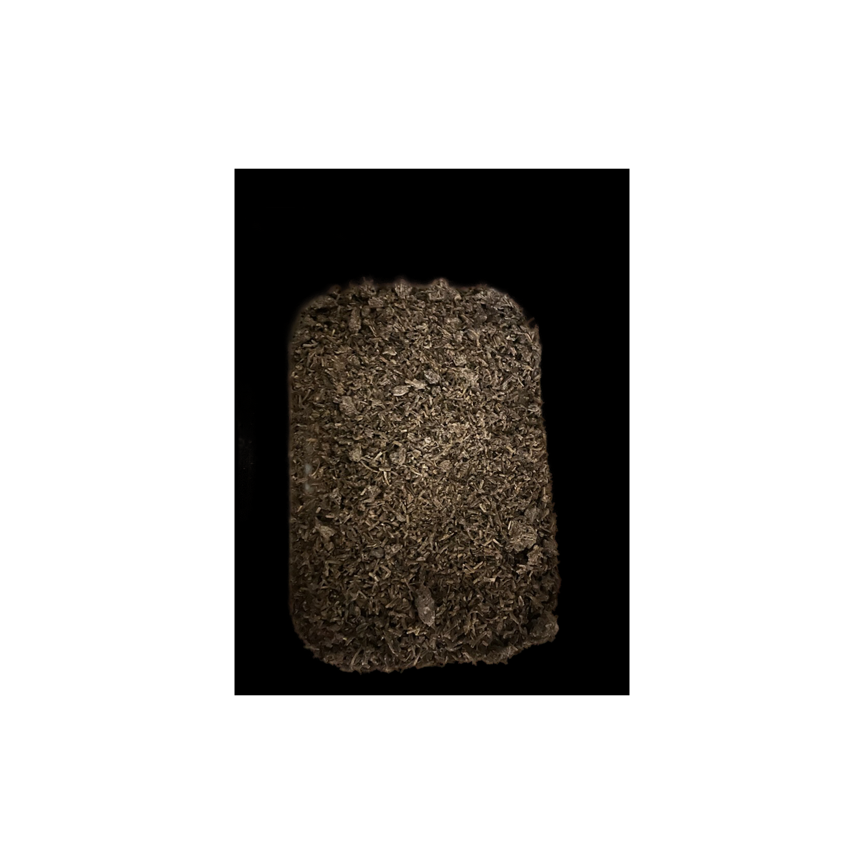 Brisure surgelée de truffe d'été