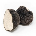 Truffe d’été / Tuber aestivum Cat 1