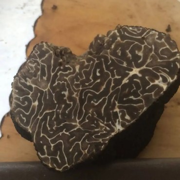 copy of Tuber Brumale Fraîche Cat 1