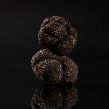 Fresh Black Winter Truffle Grade 1 | Tuber melanosporum France