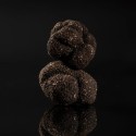 Truffe Noire Mélanosporum Fraîche Catégorie 1 (Tuber melanosporum) | France