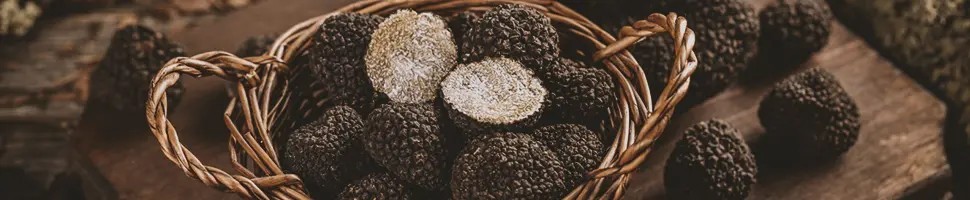 Truffes Fraîches